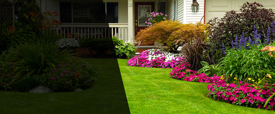 Franklin Landscapers
